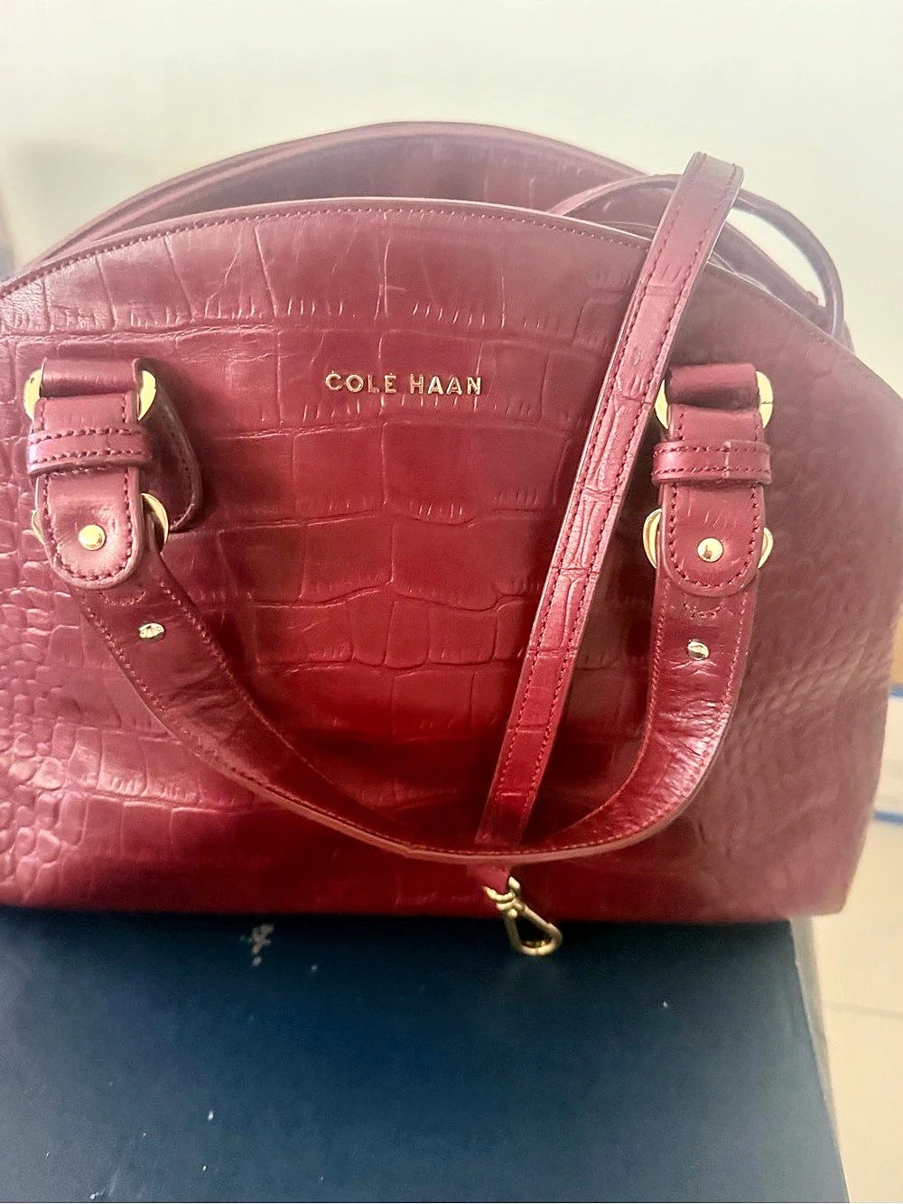 Cole Haan Crocodile-Embossed Tote in Burgundy